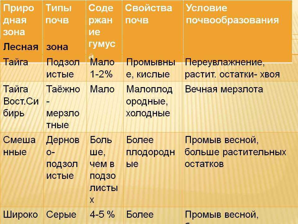 План характеристики почвы