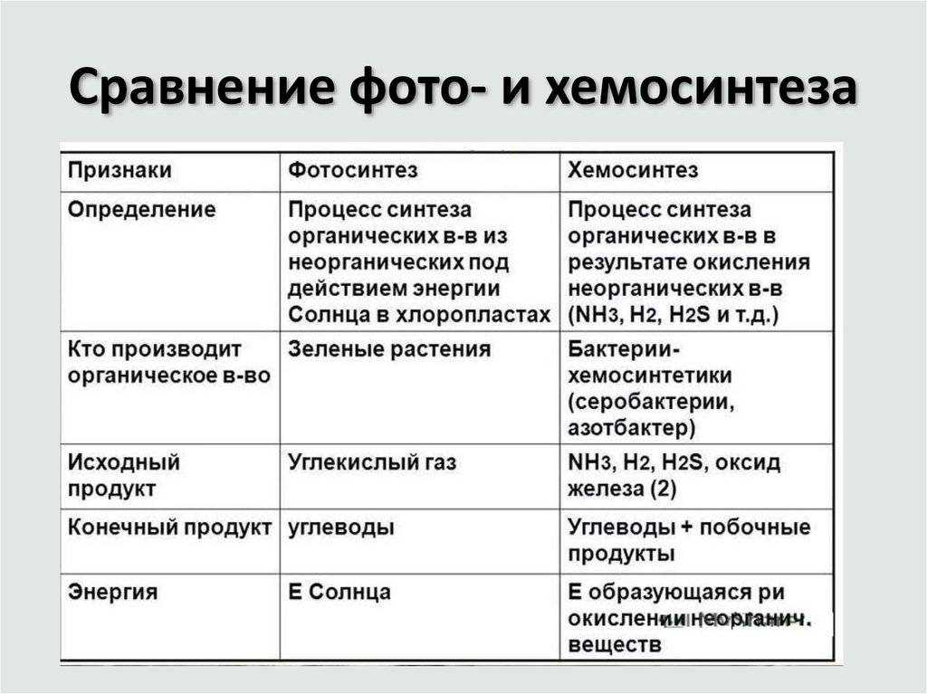 Как называется область деятельности в которой компьютеры используются как для синтеза изображений