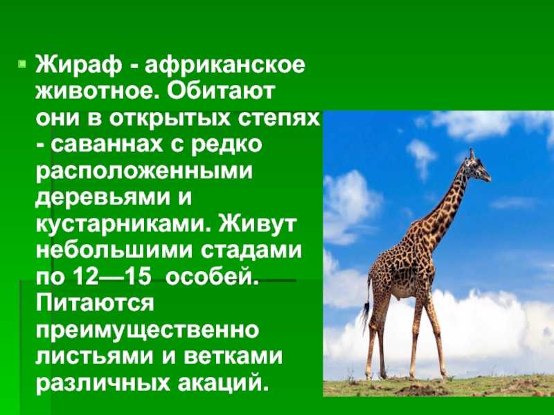 Животные саванны - фото, описание, список обитателей