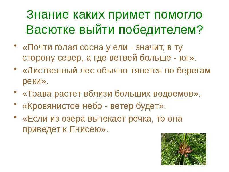 Сочинение как васютка выжил в тайге 5 класс по плану кратко