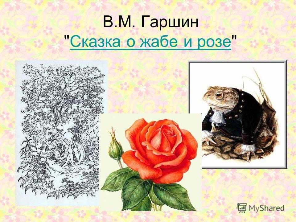 Характеристика жабы и розы. Иллюстрации из сказки о жабе и Розе. Гаршин сказка о жабе и Розе. Сказка Гаршина о жабе и Розе. Гаршин сказка о жабе и Розе иллюстрации.