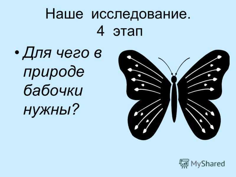 О бабочках. интересные факты