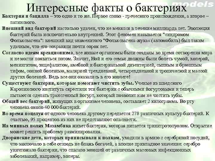 Бактерии | биология
