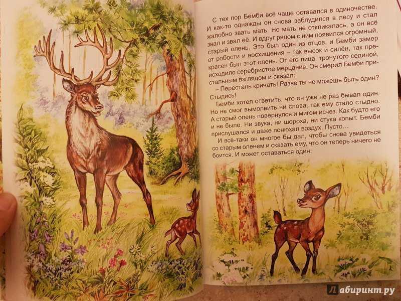 Зальтен феликс “бемби” читательский дневник, краткое содержание