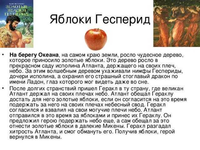 Составить план мифа Яблоки Гесперид помогут разные варианты: краткий, детальный, сюжетный Это миф о последнем подвиге Геракла