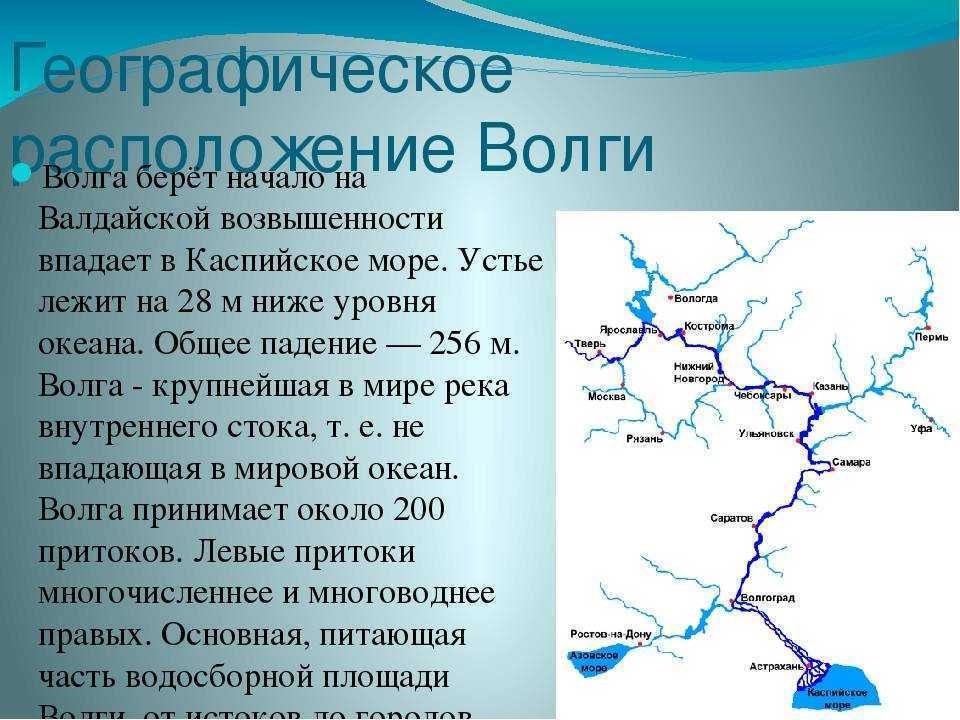 Волга: исток, устье, притоки, бассейн, глубина, история и интересные факты, растения и животные.