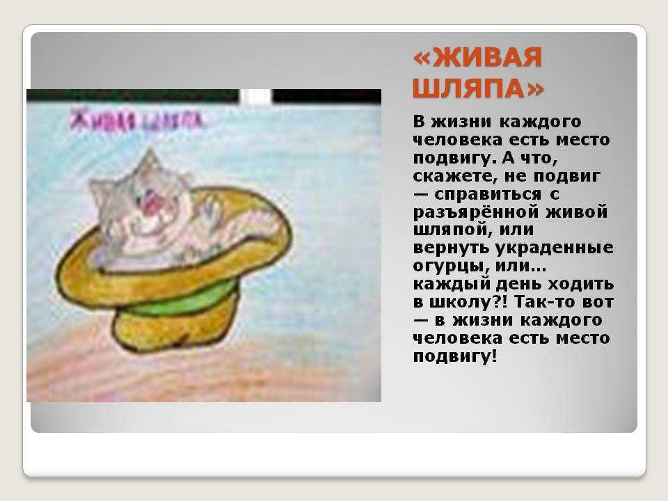 «живая шляпа» краткое содержание для читательского дневника по сказке носова (1 класс) – главная мысль, отзыв