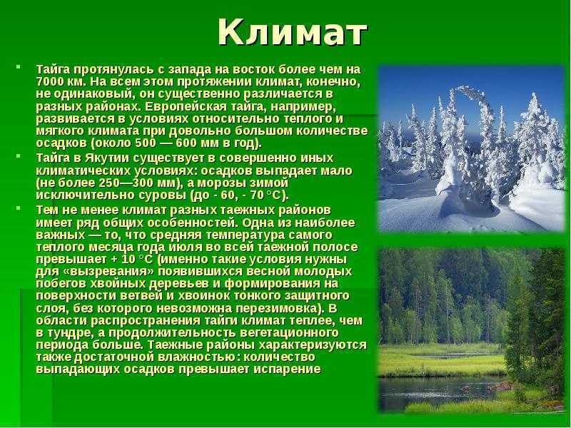 Климат россии