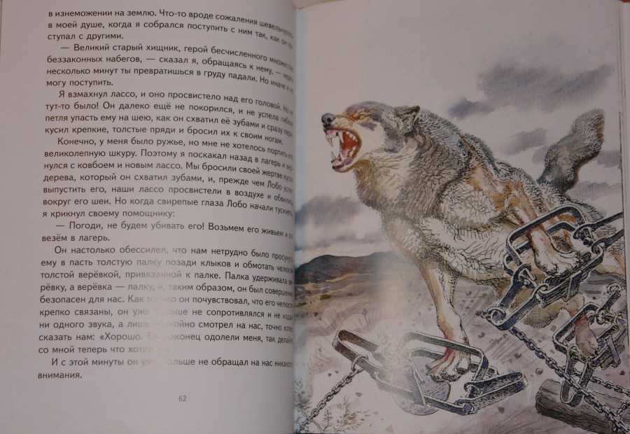 Краткое содержание книги томпсона «рассказы о животных» для читательского дневника