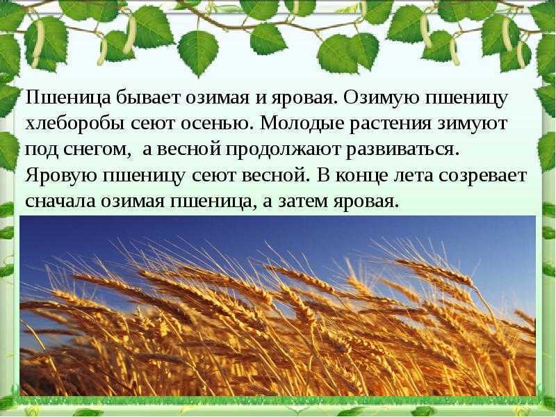 География