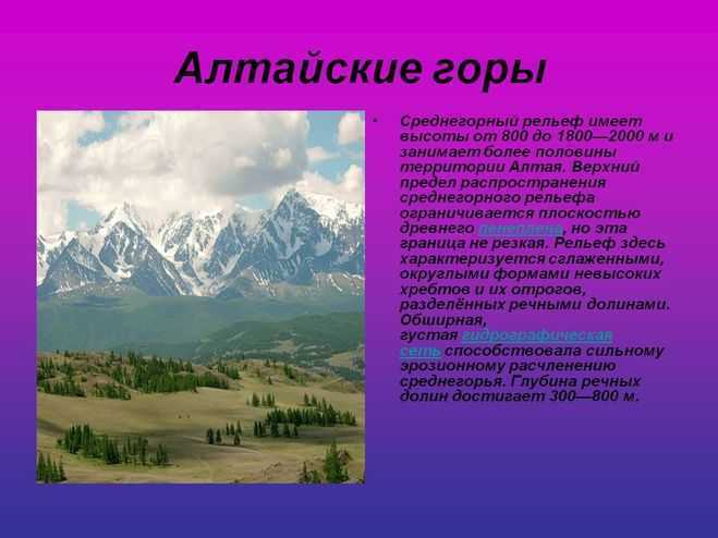 Сообщение про золотые горы алтая - положение, описание и характеристика