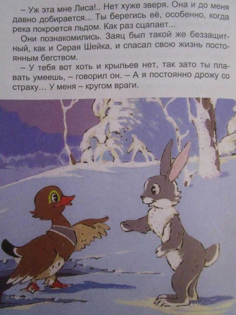 Мамин-сибиряк дмитрий “серая шейка”. читательский дневник, краткое содержание