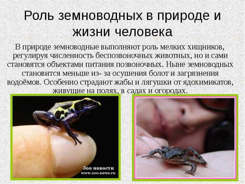 Биология
