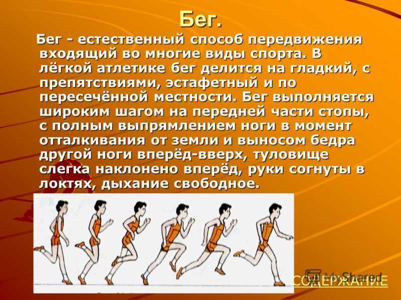 Легкая атлетика: виды, история, правила﻿
легкая атлетика: виды, история, правила﻿
