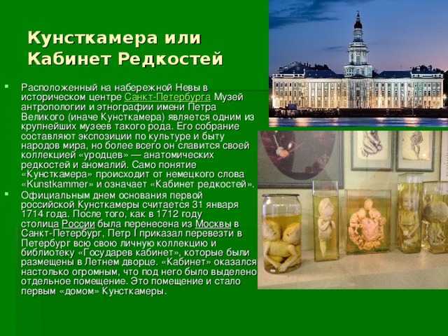 Кунсткамера, то есть кабинет редкостей. 4 класс  доклад, проект