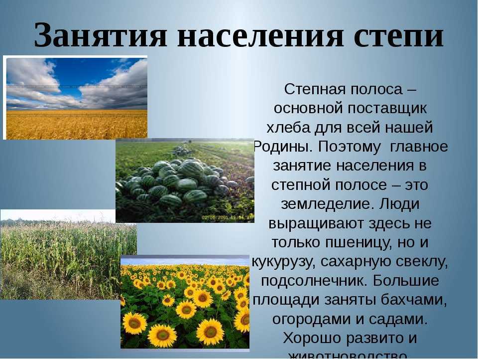 Природа степей презентация