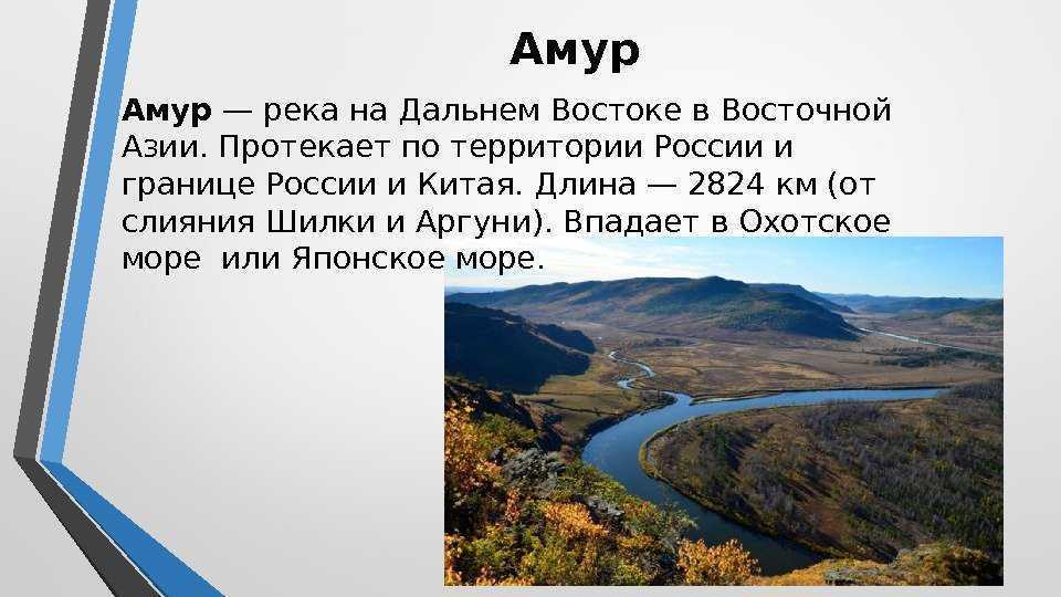 Названия рек протекающих на дальнем востоке. Проект про реку Амур. Рассказ о реке Амур. Доклад о реке Амур. Евразия река Амур.