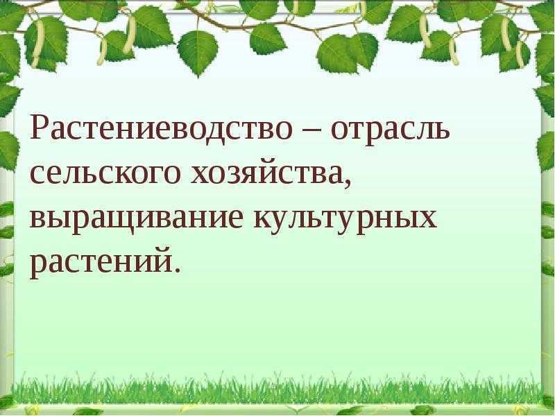 Презентация растениеводство в нашем крае 4 класс окружающий мир плешаков