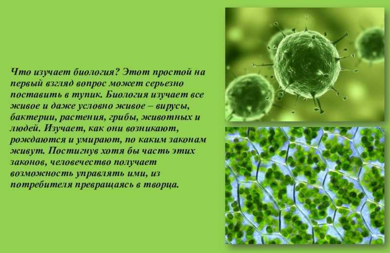 Почему биология. Биология наука будущего. Почему биология наука будущего. Презентация на тему будущее биологии. Почему биологию считают наукой будущего.