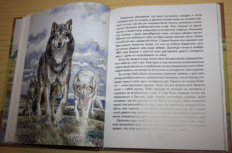«виннипегский волк» краткое содержание рассказа сетон-томпсона – читать пересказ онлайн