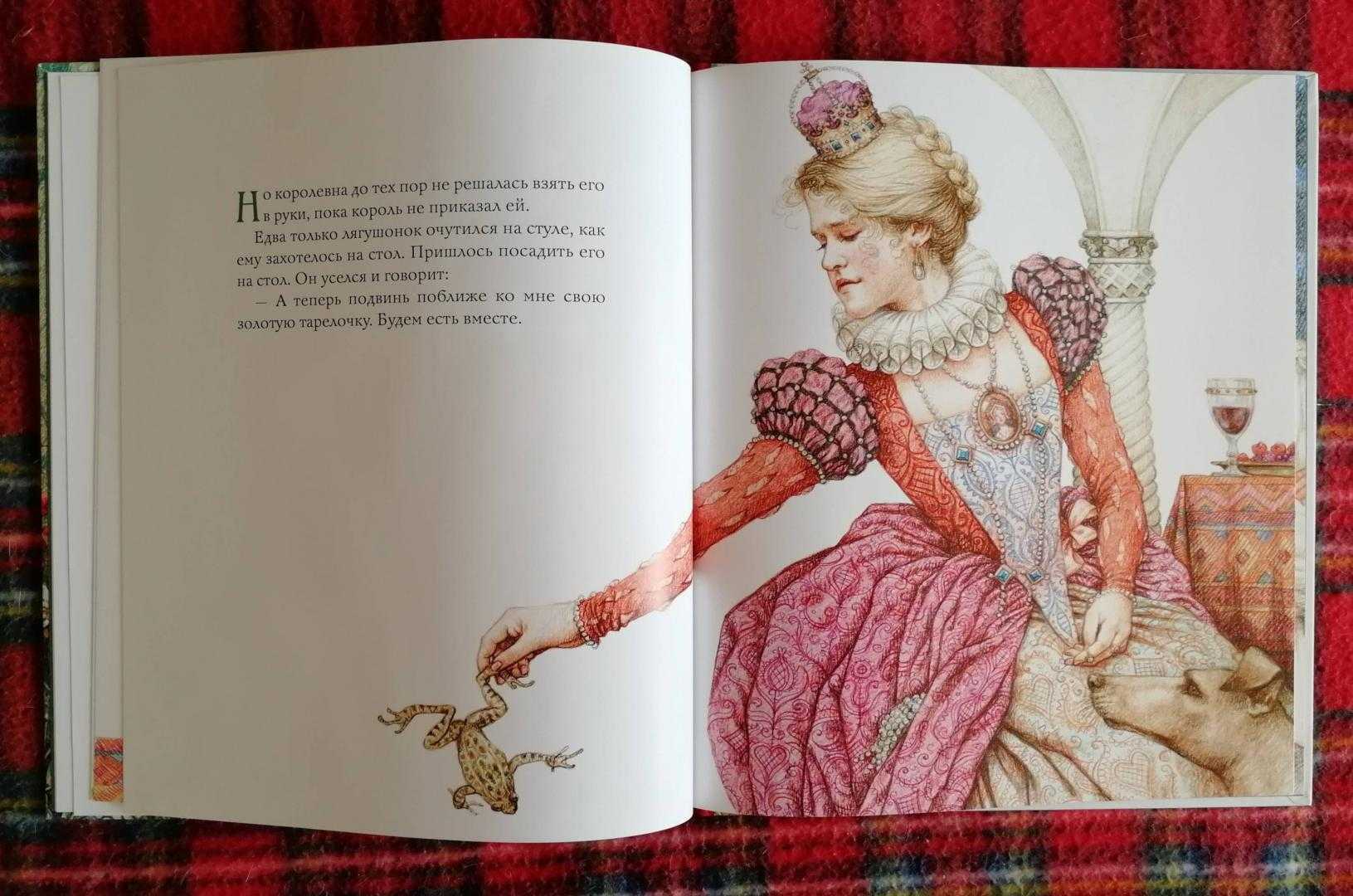 Братья гримм “король дроздобород”. читательский дневник, краткое содержание