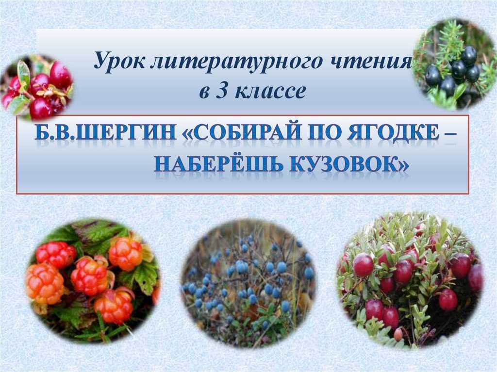 Собирай по ягодке – наберешь кузовок | борис шергин