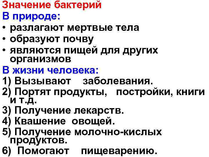 Роль бактерий в природе и жизни человека