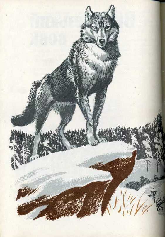 Житков борис рассказ «про волка»