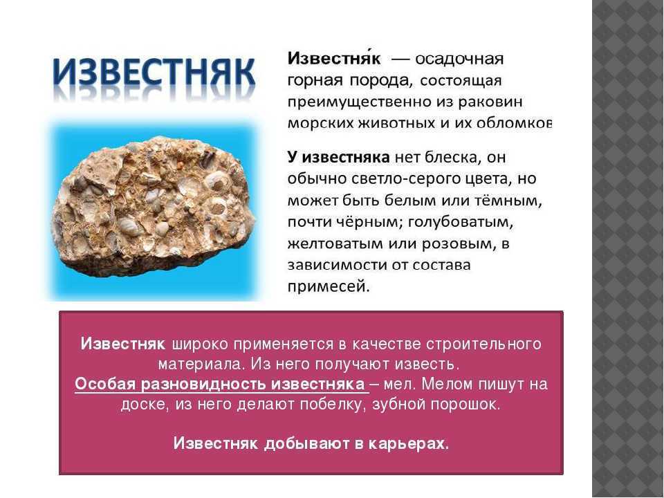Меловой период, или мел (145-66 млн лет назад)