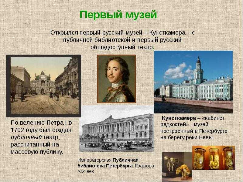 Кунсткамера | доклад
