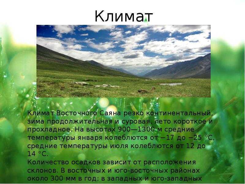 Горы южной сибири ️ географическое положение, характерные черты