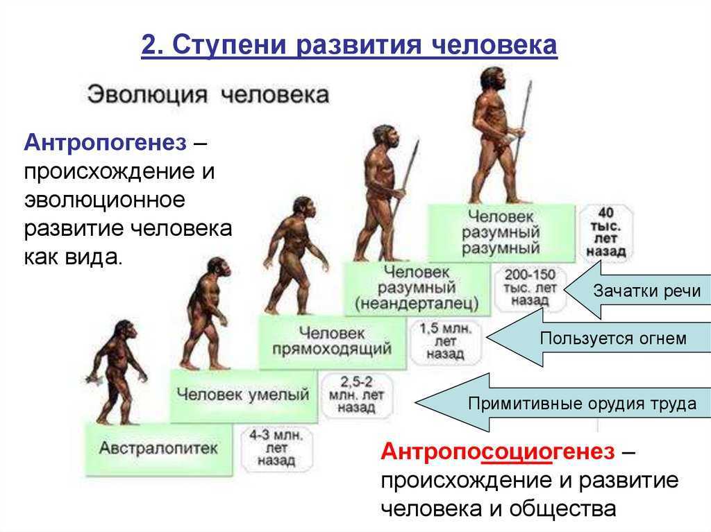 Откуда появились люди на земле? основные версии происхождения человека | brave defender