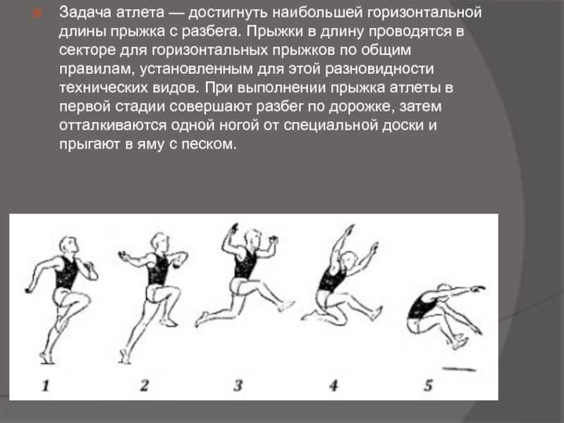 Прыжки в длину с разбега картинки