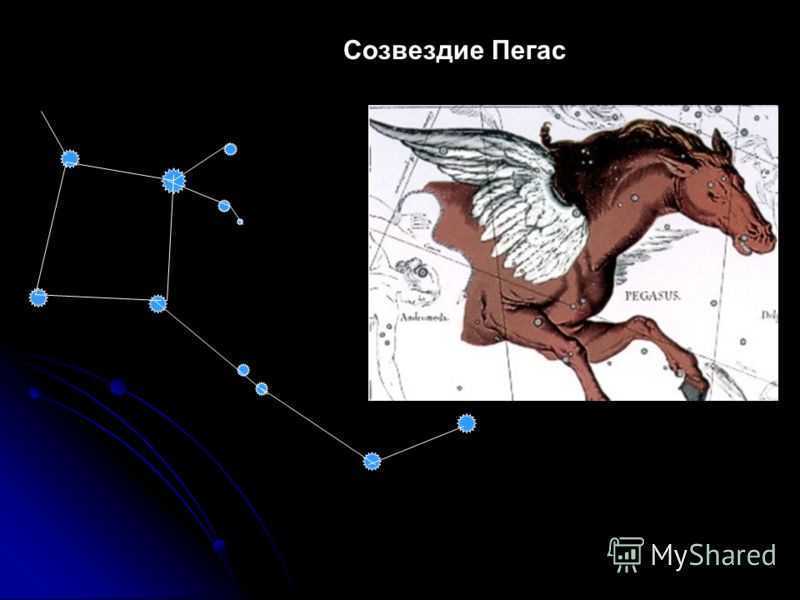 Пегас созвездие рисунок карандашом