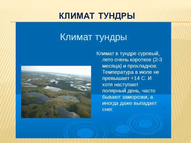 Небольшое сообщение на тему. Климат тундры 4 класс окружающий мир. Природная зона тундра климат. Природная зона тундра 4 класс окружающий мир. Сообщение о тундре.