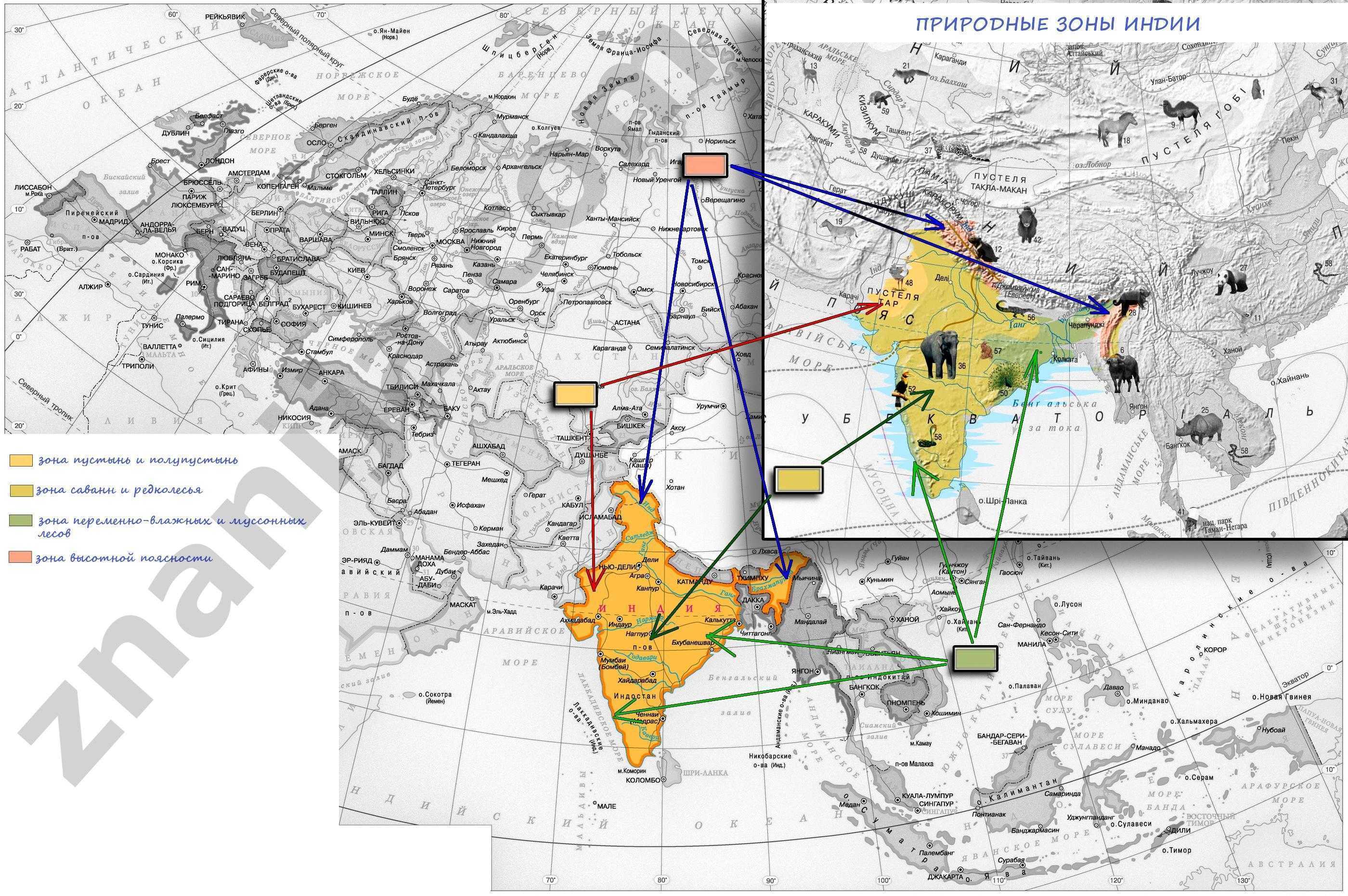 Природные зоны индии по плану 7 класс