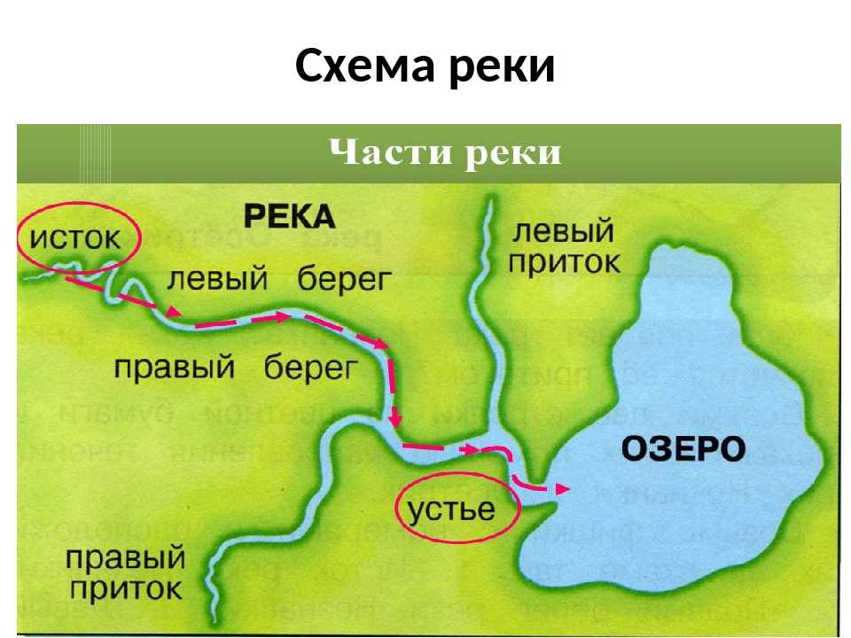 Схема строения речной системы