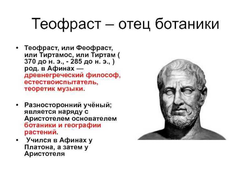 Презентация на тему "теофраст" по биологии для 6 класса