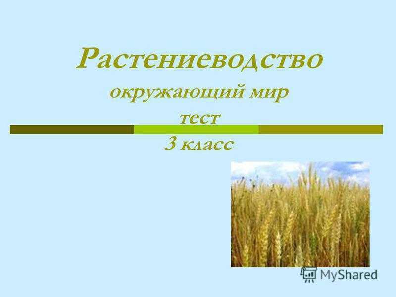 Растениеводство 4 класс окружающий мир