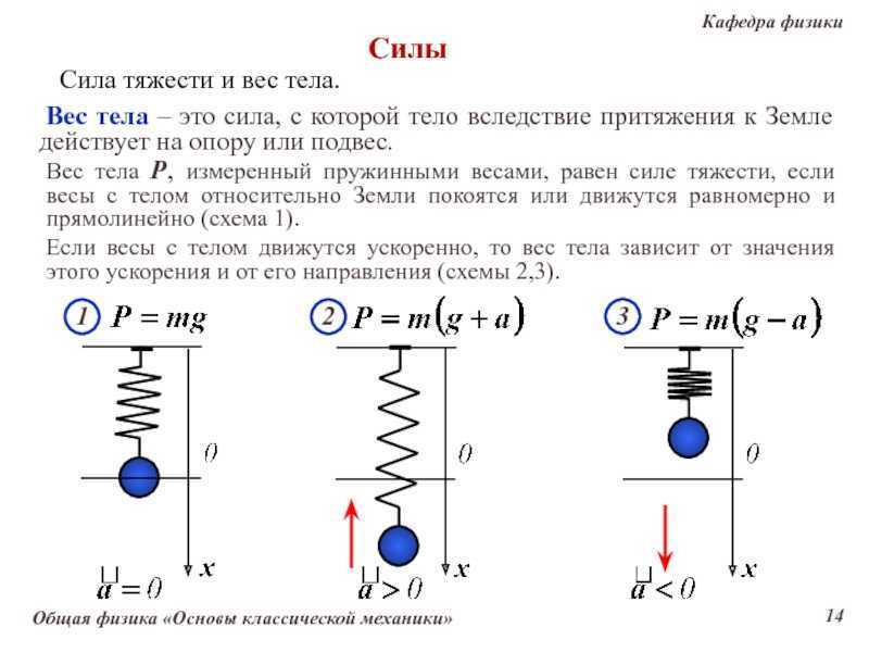 Какая сила тяжести действует на тело массой