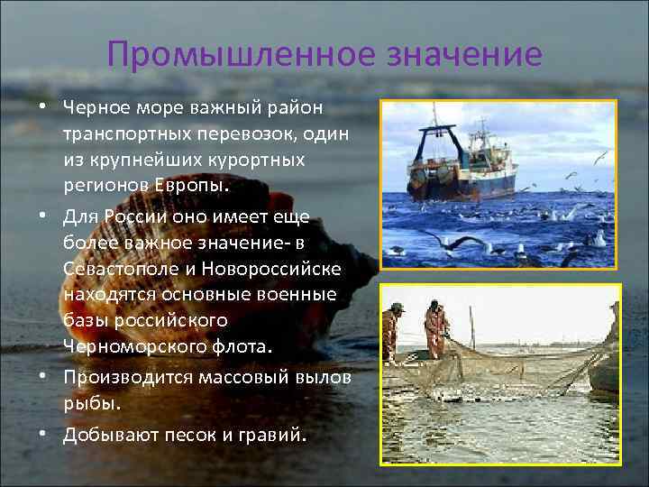 Значение моря в жизни человека. Значение черного моря. Значение Азовского моря. Хозяйственная деятельность черного моря. Природные ресурсы черного моря.