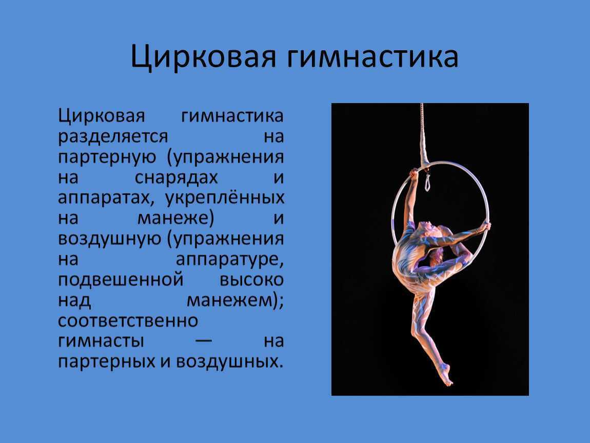 Доклад по физкультуре на тему: «акробатика» — виды, характеристика и значение
