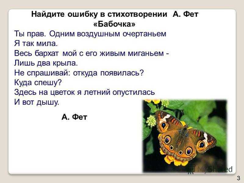 Бабочка составить слова. Фет бабочка стих. Бабочка ты прав одним воздушным очертаньем. Стихотворение про бабочку.