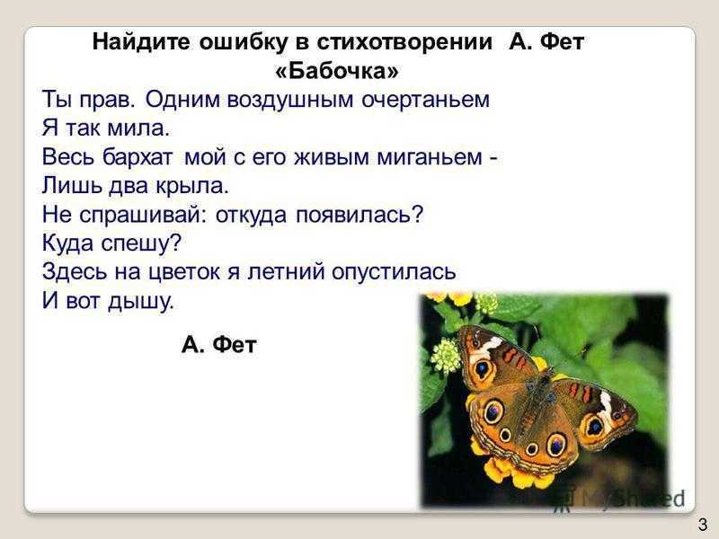 Стих бабочка. Фет бабочка. Стихотворение бабочка Фет. Бабочка ты прав одним воздушным очертаньем. Стих бабочка 4 класс.