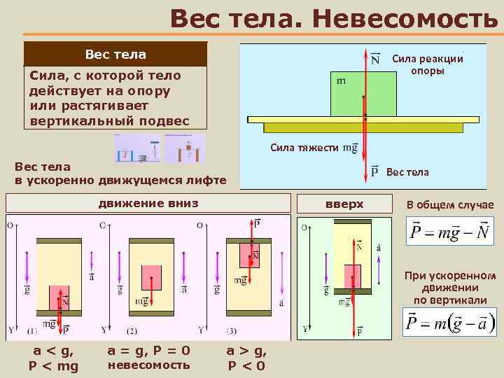 В каком случае на рисунке изображена сила тяжести а в каком вес тела