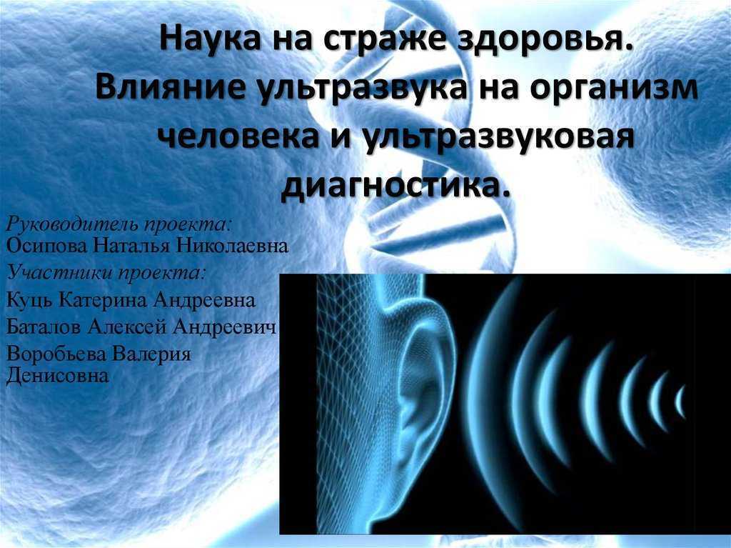 Инфразвук и ультразвук : доклад : физика