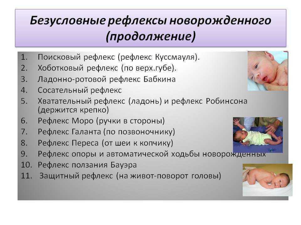 Высшая нервная деятельность. безусловные и условные рефлексы – анатомия, физиология и гигиена человека – kaz-ekzams.ru