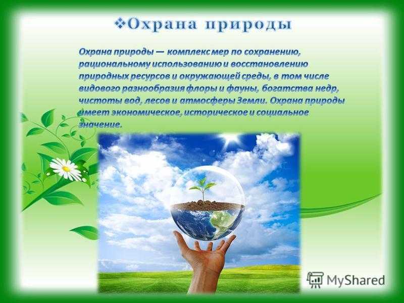 Роль охраны окружающей среды. Защита и охрана природы. Охрана окружающей среды. Природа защита окружающий среды. Экология и охрана природы.
