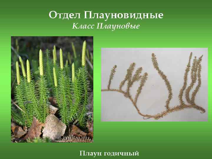 Биология
