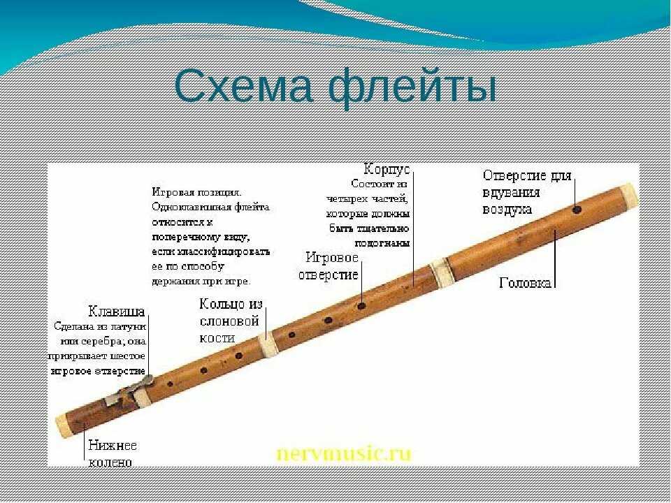 Флейта